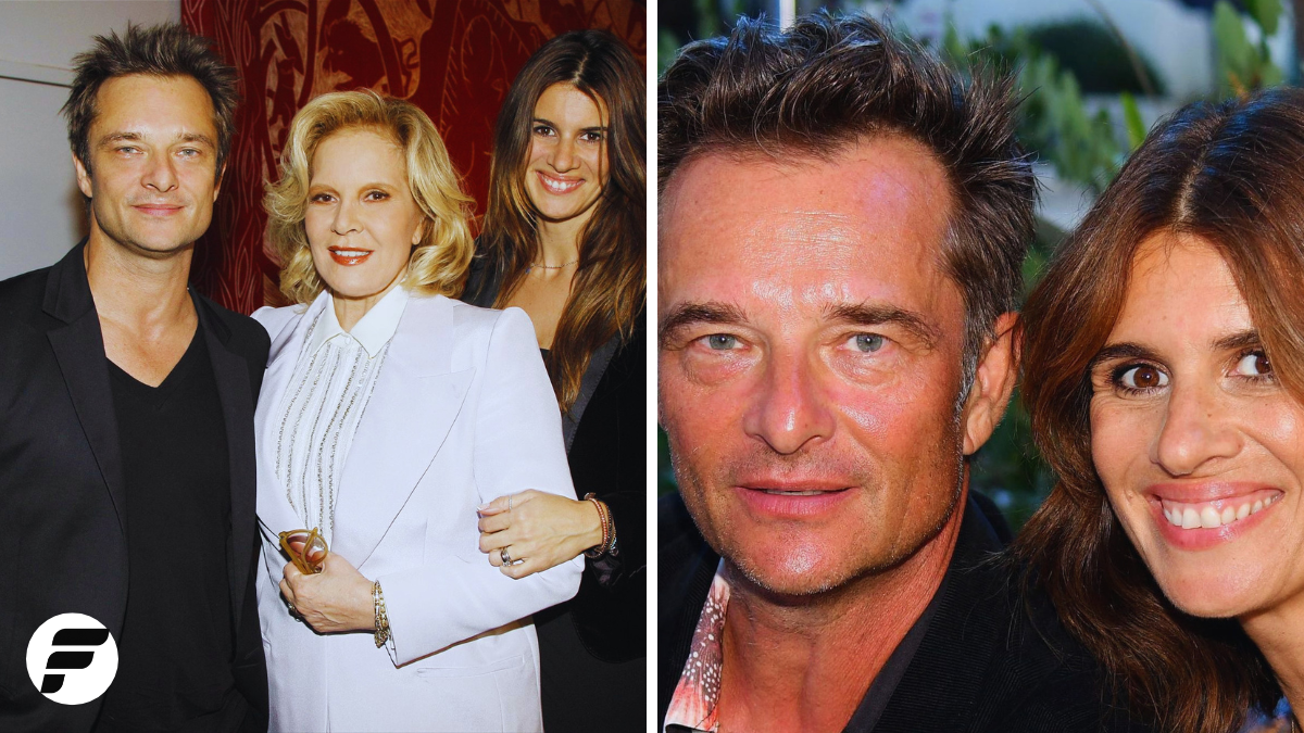 david hallyday